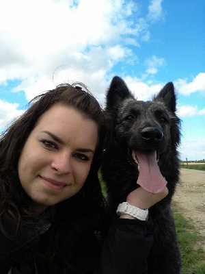 Brindle Wolf